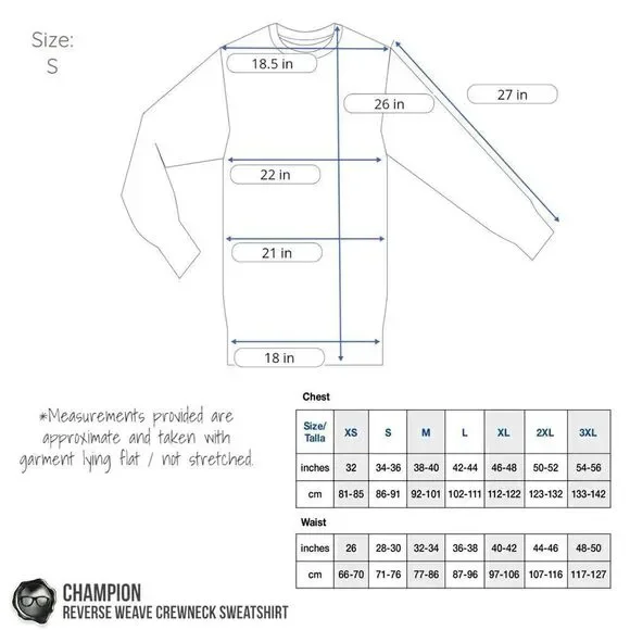 CHAMPIONREVERSE WEAVE CREWNECK C LOGOSWEATSHIRT HEAVYWEIGHT BLACK UNISEX